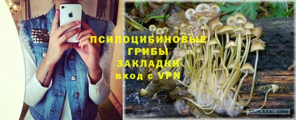 стафф Медвежьегорск