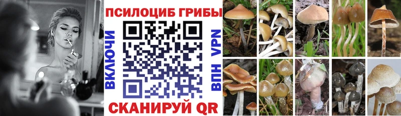 Галлюциногенные грибы GOLDEN TEACHER  дарк нет состав  Цимлянск 